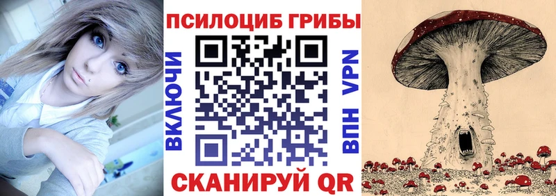 где продают   darknet состав  Псилоцибиновые грибы прущие грибы  Уяр 